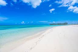 Paradise Found - Image 4