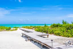 Paradise Found - Image 5