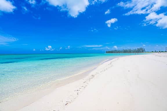Paradise Found - Image 4